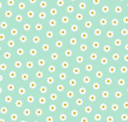 DAISY FLOWERS /MENTA